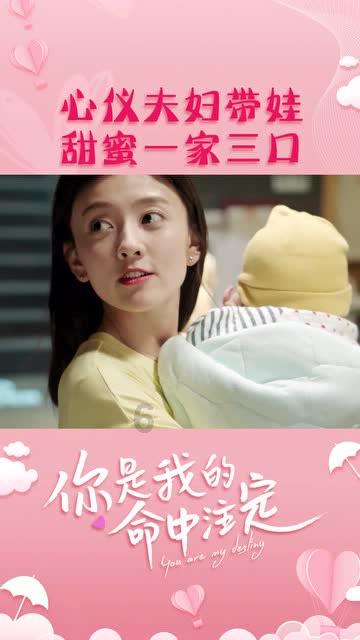 创作猫