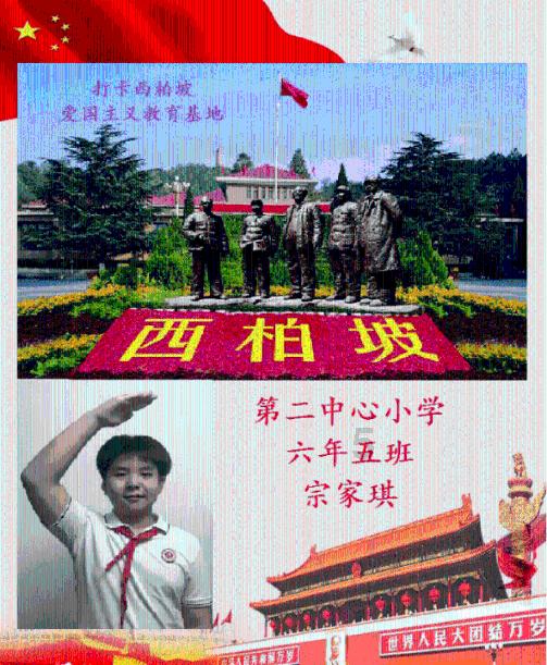 小猫钓鱼正版下载中文版