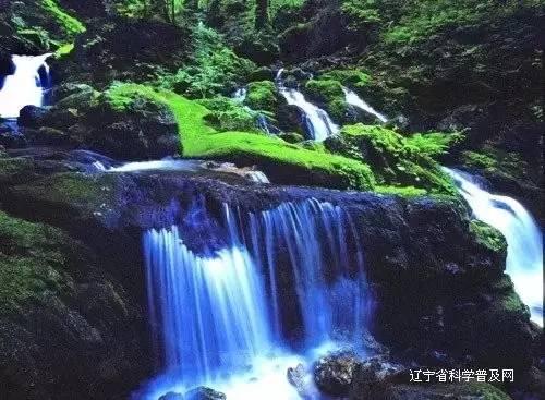 影视工厂